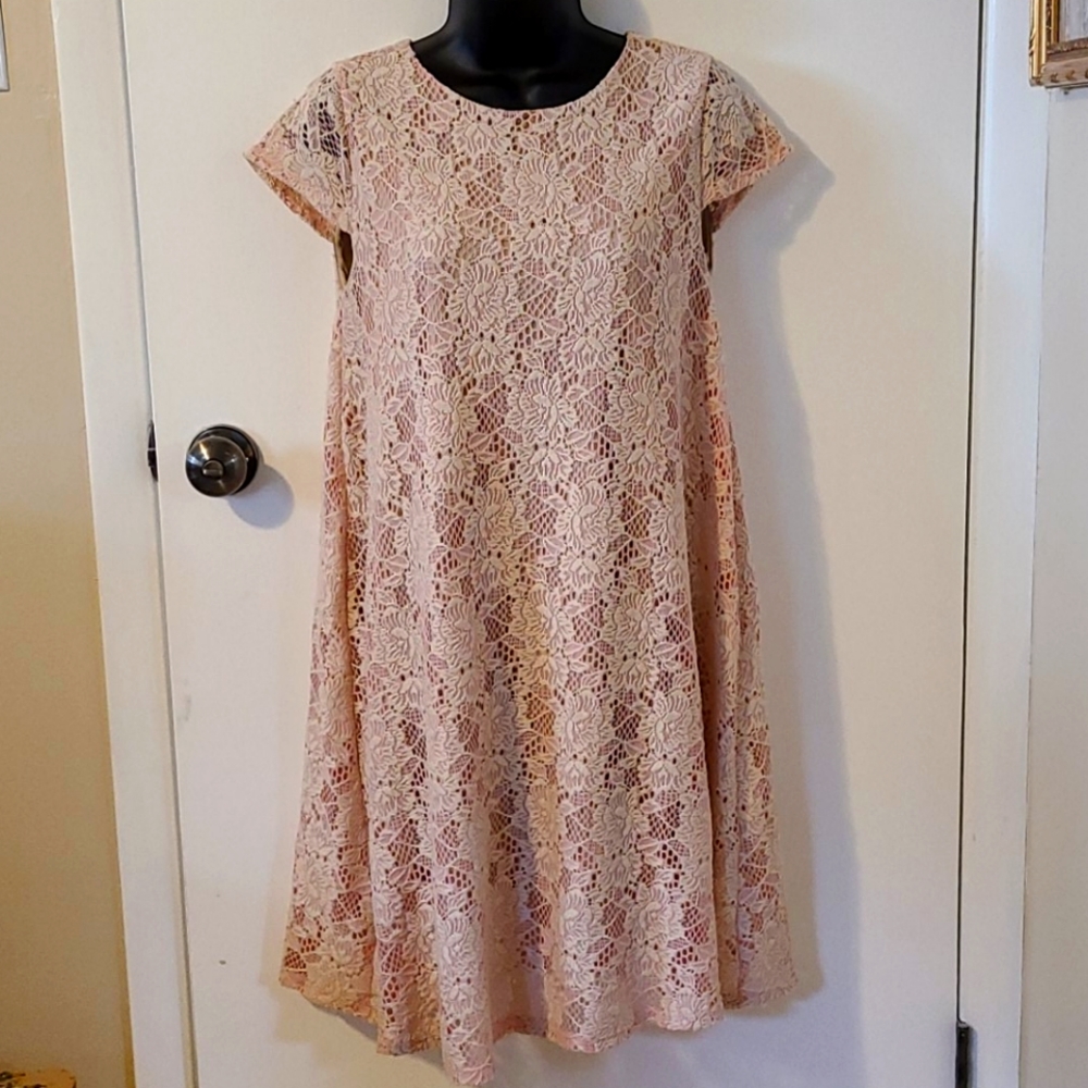 Altar'd State Lace Shift Dress